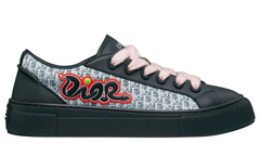 Dior And Kaws B33 Spin Sneaker 