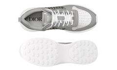 Dior B25 